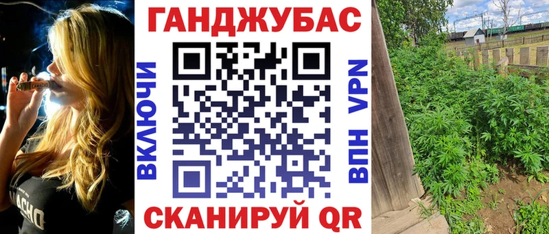 A PVP Магас