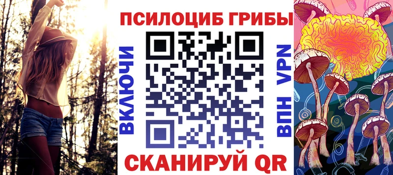 Галлюциногенные грибы мухоморы  купить наркотик  Магас 